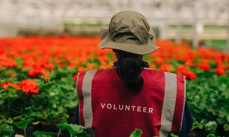 A Hyde Park nursery volunteer with her back to the camera