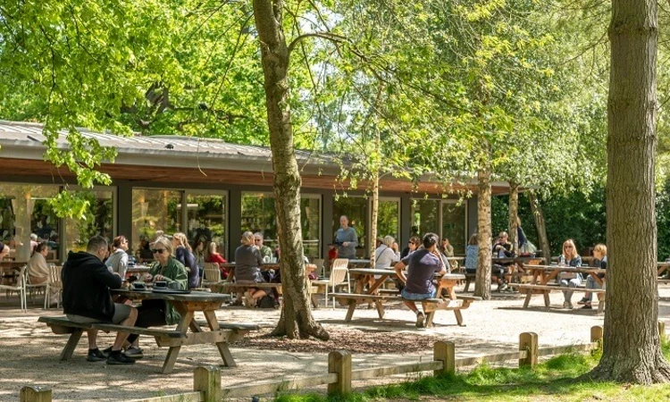 Pheasantry Café in Bushy Park