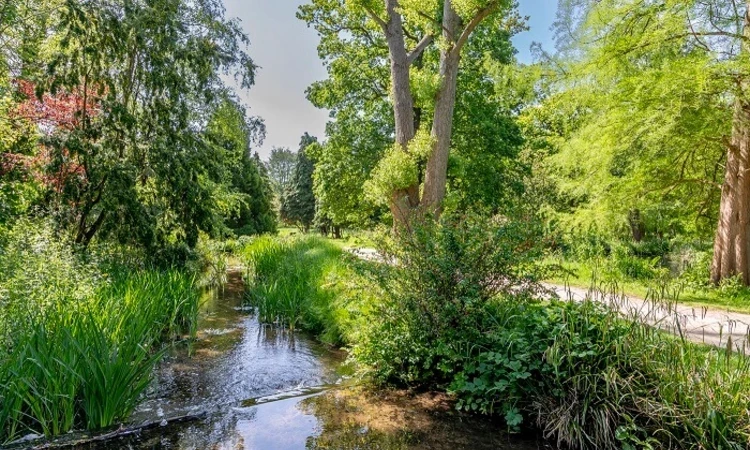 Waterhouse Woodland Gardens in spring