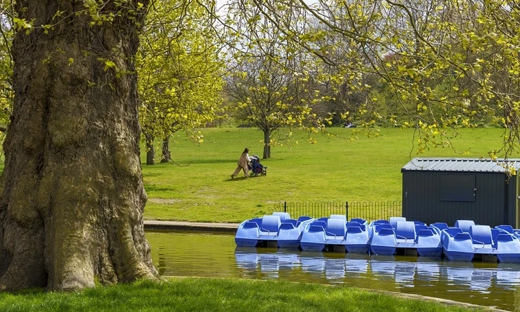 Boating lake in Greenwich park