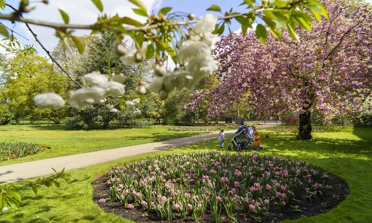 The Flower garden in spring