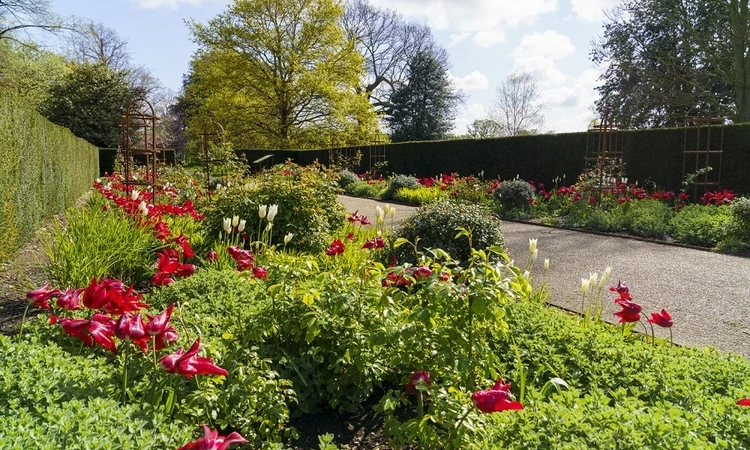 The Rose Garden in spring