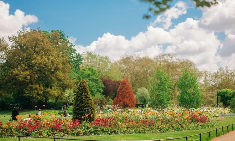 The Rose Garden in spring