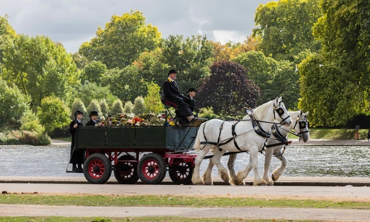 Shire horses taking the floral tributes across the park.