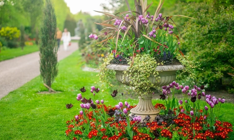 The Avenue Gardens in The Regent's Park & Primrose Hill