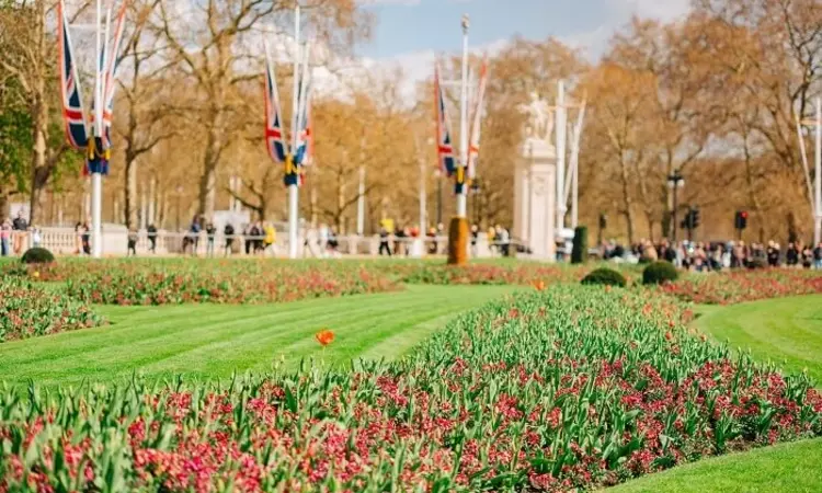 Flower beds in front of Buckingham Palace in spring