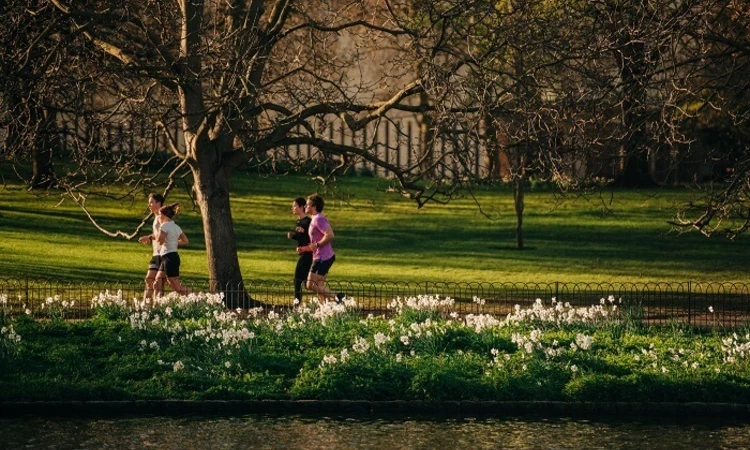 Runners by St. James's Lake in spring