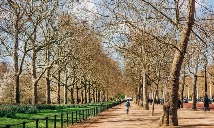 The path alongside The Mall in St. James's Park