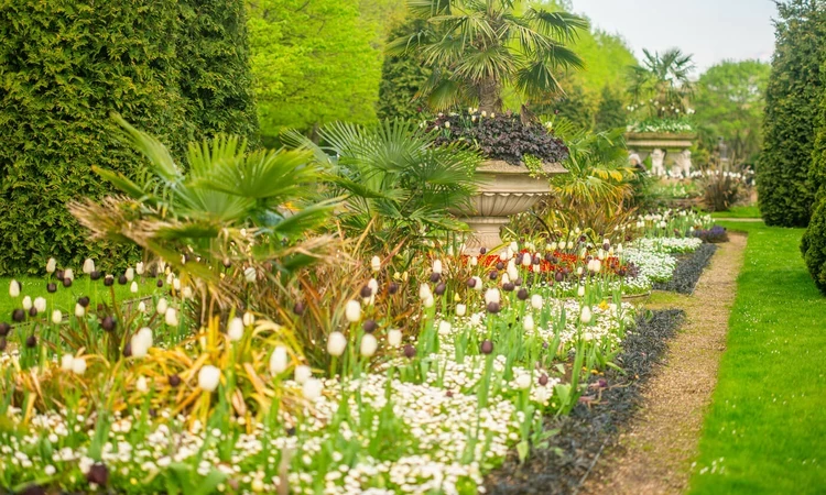 The Avenue Gardens in The Regent's Park