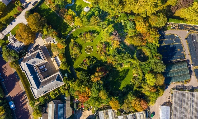 Aerial view of St. John's Lodge Garden