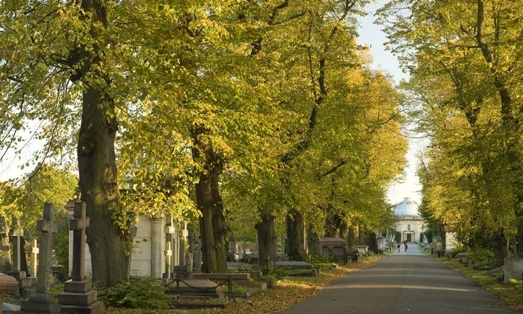 Brompton cemetery Ceremonial Axis