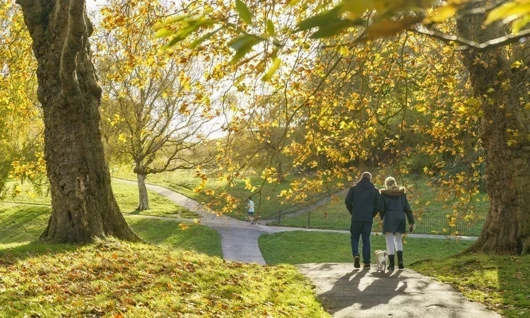 Two people, facing away, walking in an autumn day 