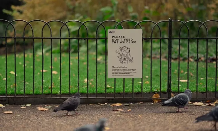 An instructional sign designed by Sir Quentin Blake near the Cavalry Memorial in Hyde Park