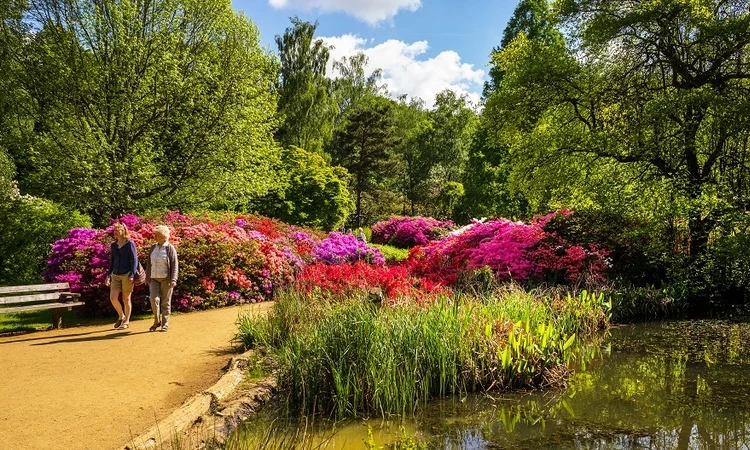 Ladies walking through the Isabella Plantation