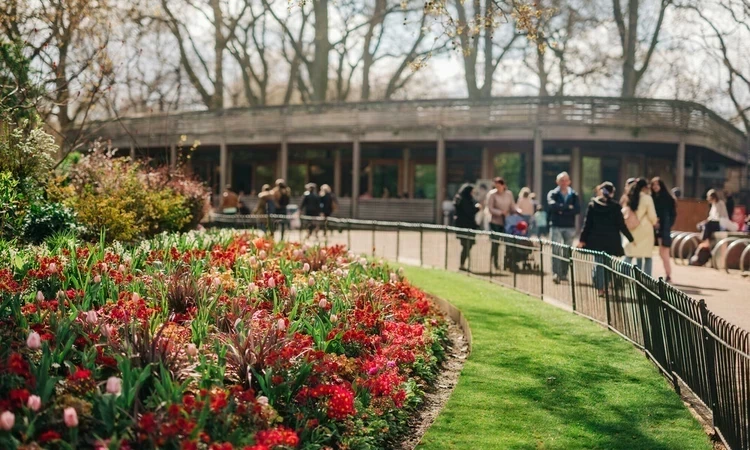 St. James's Park | The Royal Parks