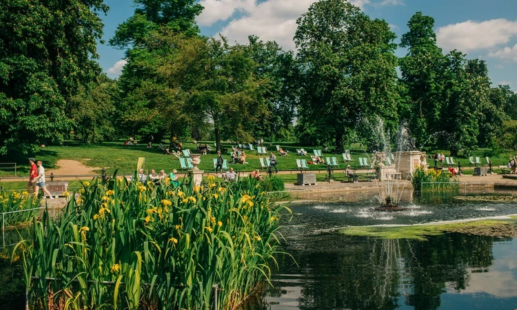 Flowers in the water and people on deckchairs in the background on a sunny day