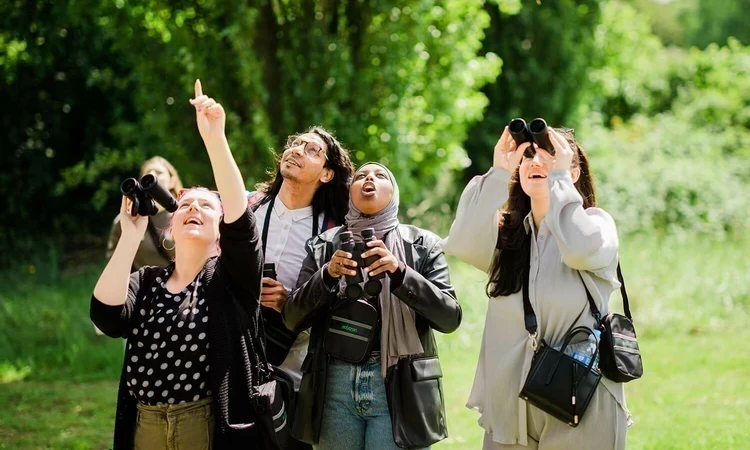 Bird watchers