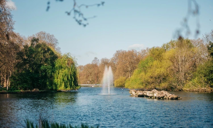 duck island in St James's Park