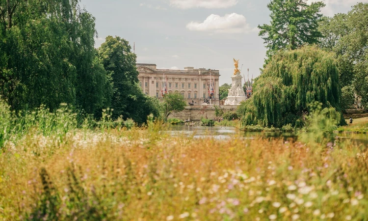 St. James's Park in summer
