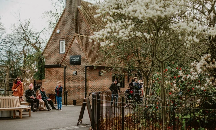 Exterior of the Ignatius Sancho Café