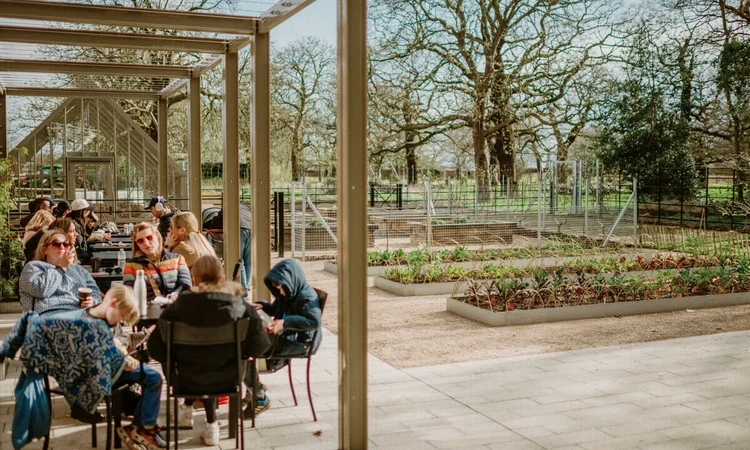 Diners under a pergola outside the Ignatius Sancho Café