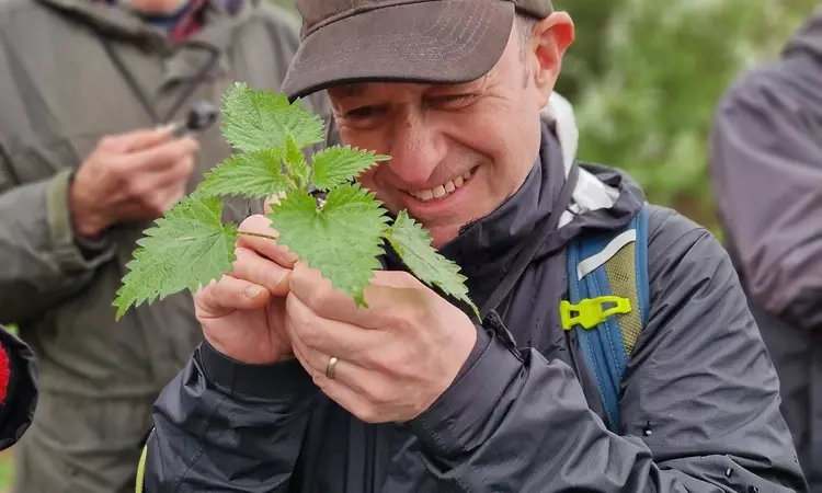 Man looking at a weed with a magnifying lens