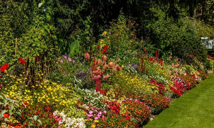 St James's Park summer bedding