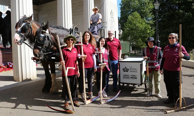 volunteers equipped with scythes and shire horses