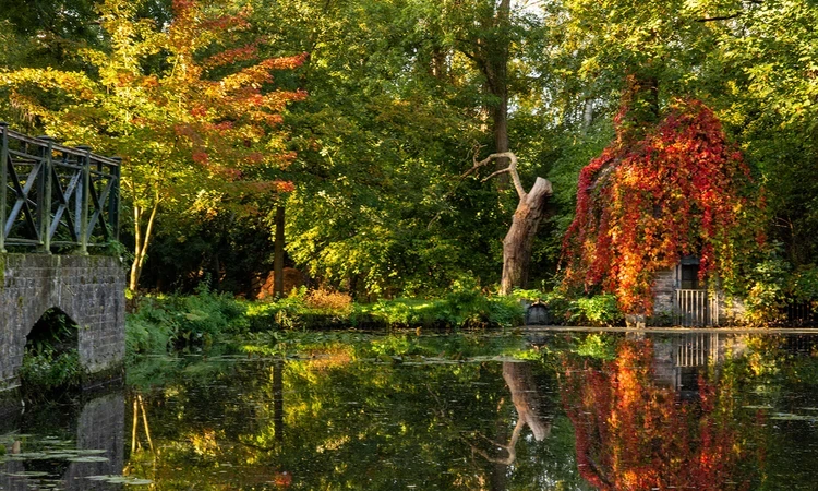 Autumn coloured trees reflecting in a river