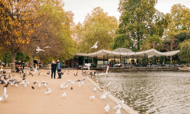 Serpentine Bar and Kitchen Hyde Park in autumn