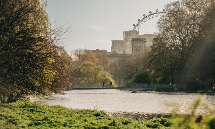 St. James's Park in autumn