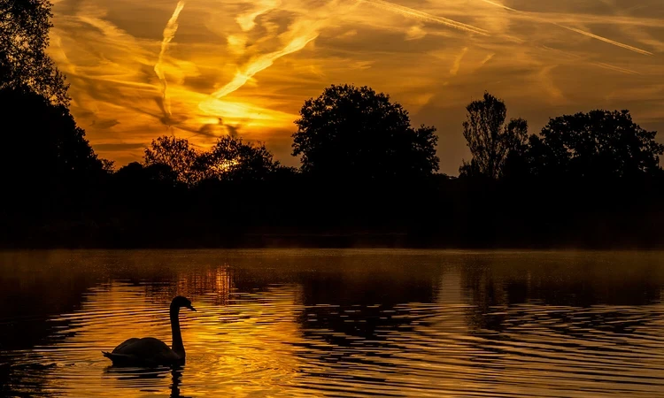Golden sunset over the water