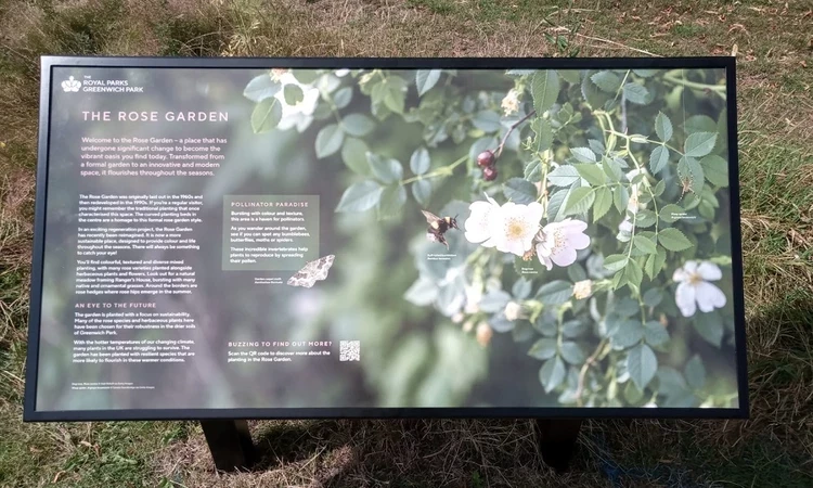 A birds eye view fo a new information board about the Rose Garden in Greenwich Park.