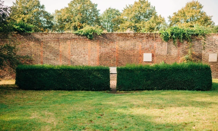 Brick wall showing the remains of Montague House, Greenwich Park