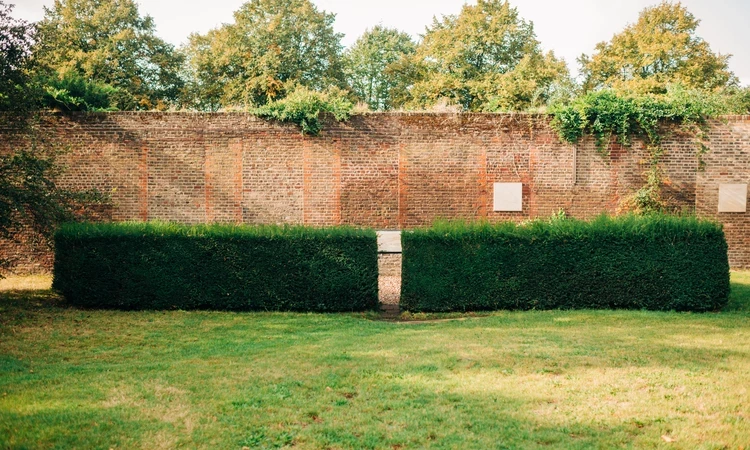 Brick wall showing the remains of Montague House, Greenwich Park