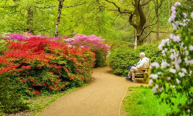 People sitting on a park bench in the Isabella Plantation