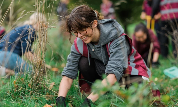 Volunteer planting