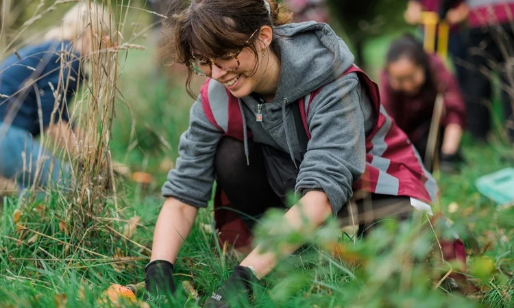 Volunteer planting