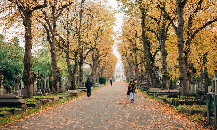 Autumn colours along the Central Avenue
