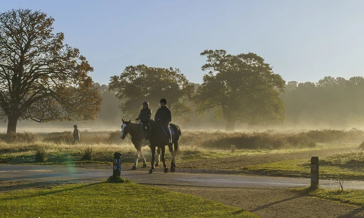 Horse riders in Richmond Park