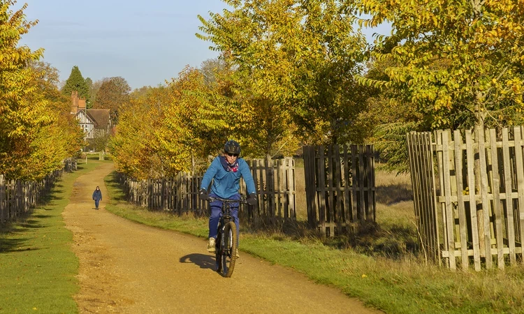 Cyclist on the Tamsin Trail