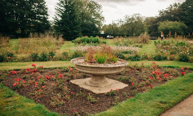 Greenwich Rose Garden in autumn