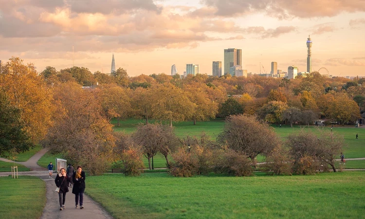 Primrose Hill under autumn skies