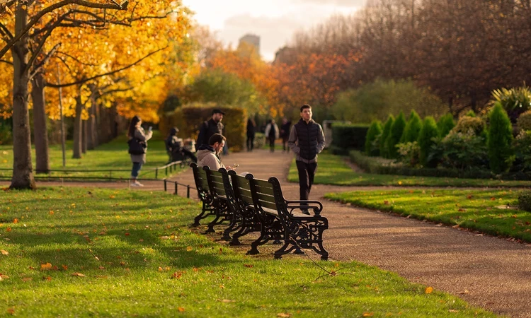 The Avenue Gardens
