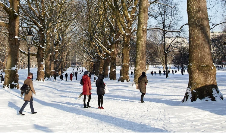 People walking through the park in the snow