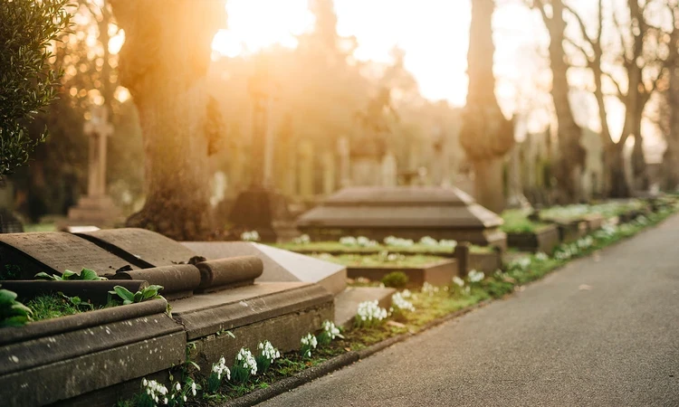 Snowdrops by the Central Avenue graves