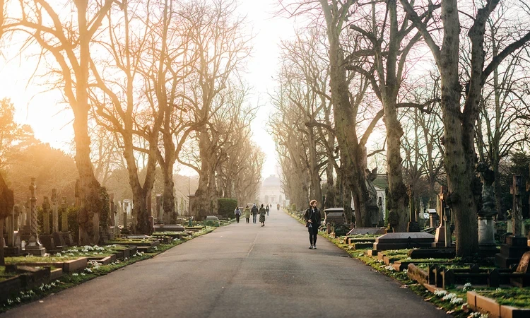 Central Avenue in winter