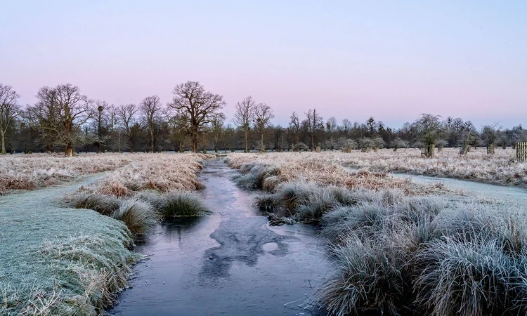 Frosty banks of Longford River