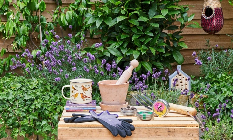 The Royal Parks Shop Products