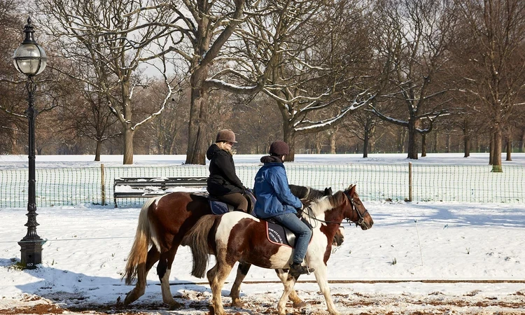 Horse riders in the snow